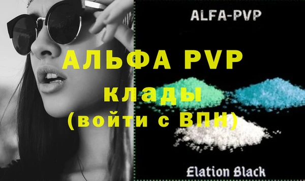 ПСИЛОЦИБИНОВЫЕ ГРИБЫ Александровское