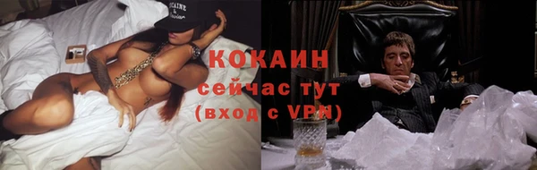 стафф Новокубанск