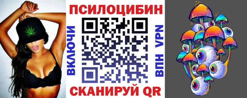Галлюциногенные грибы Psilocybe  Катав-Ивановск 